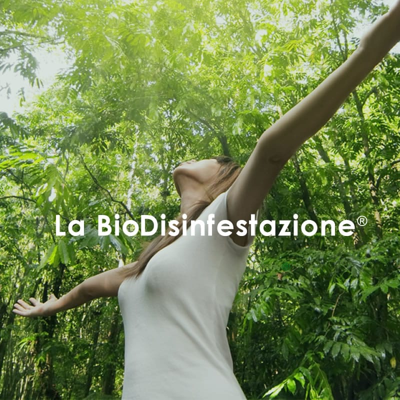 La Bio Disinfestazione Senza Pesticidi per Case e Aziende