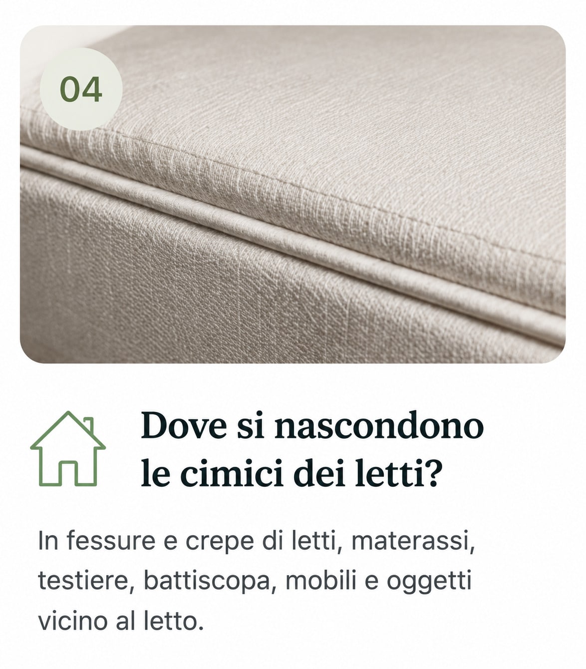 Struttura del letto e materasso, possibile rifugio delle cimici dei letti