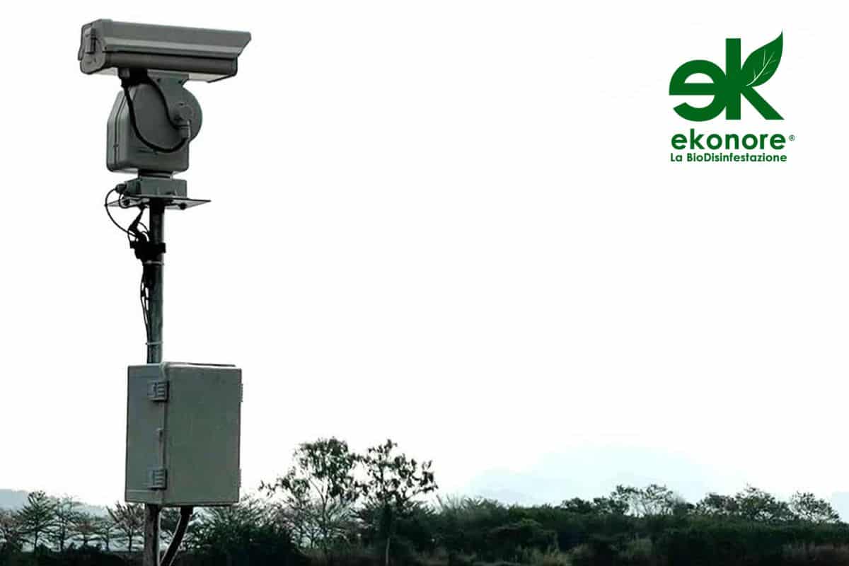 allontanamento-volatili-dissuasore-laser-ai Dissuasore laser allontanamento piccioni e volatili