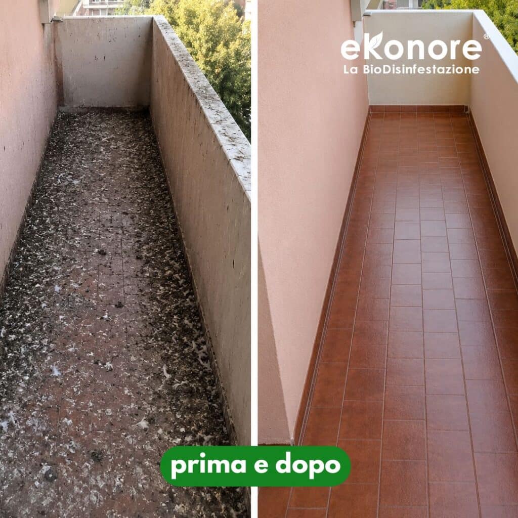Bonifica e pulizia del guano di piccioni: pavimentazione, prima e dopo l’intervento
