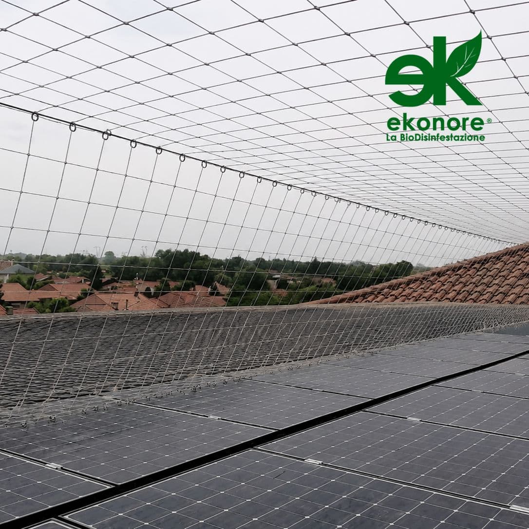 reti anti volatili professionale installazione birdnet allontanamento volatili reti anti volatili professionale installazione birdnet allontanamento volatili