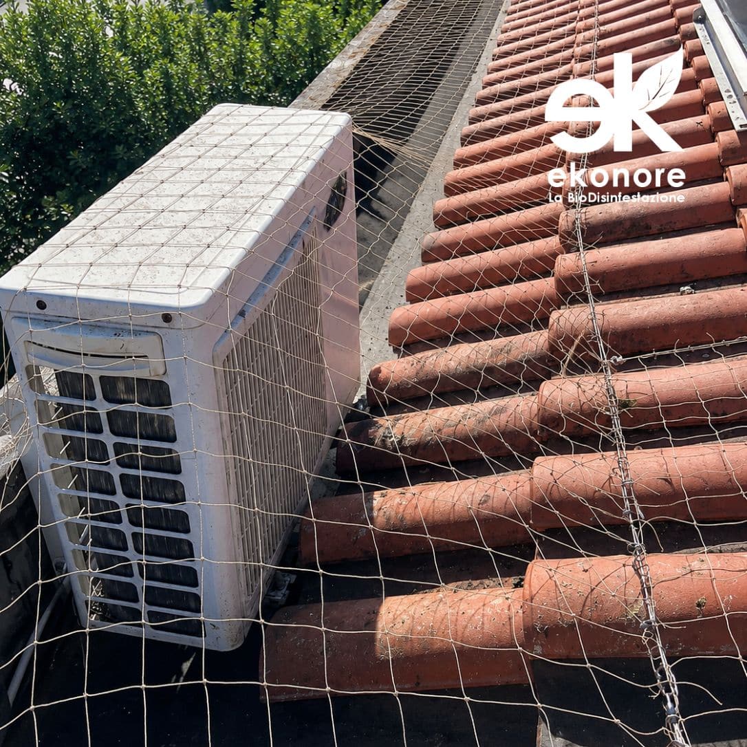 reti anti volatili professionale installazione birdnet allontanamento volatili reti anti volatili professionale installazione birdnet allontanamento volatili