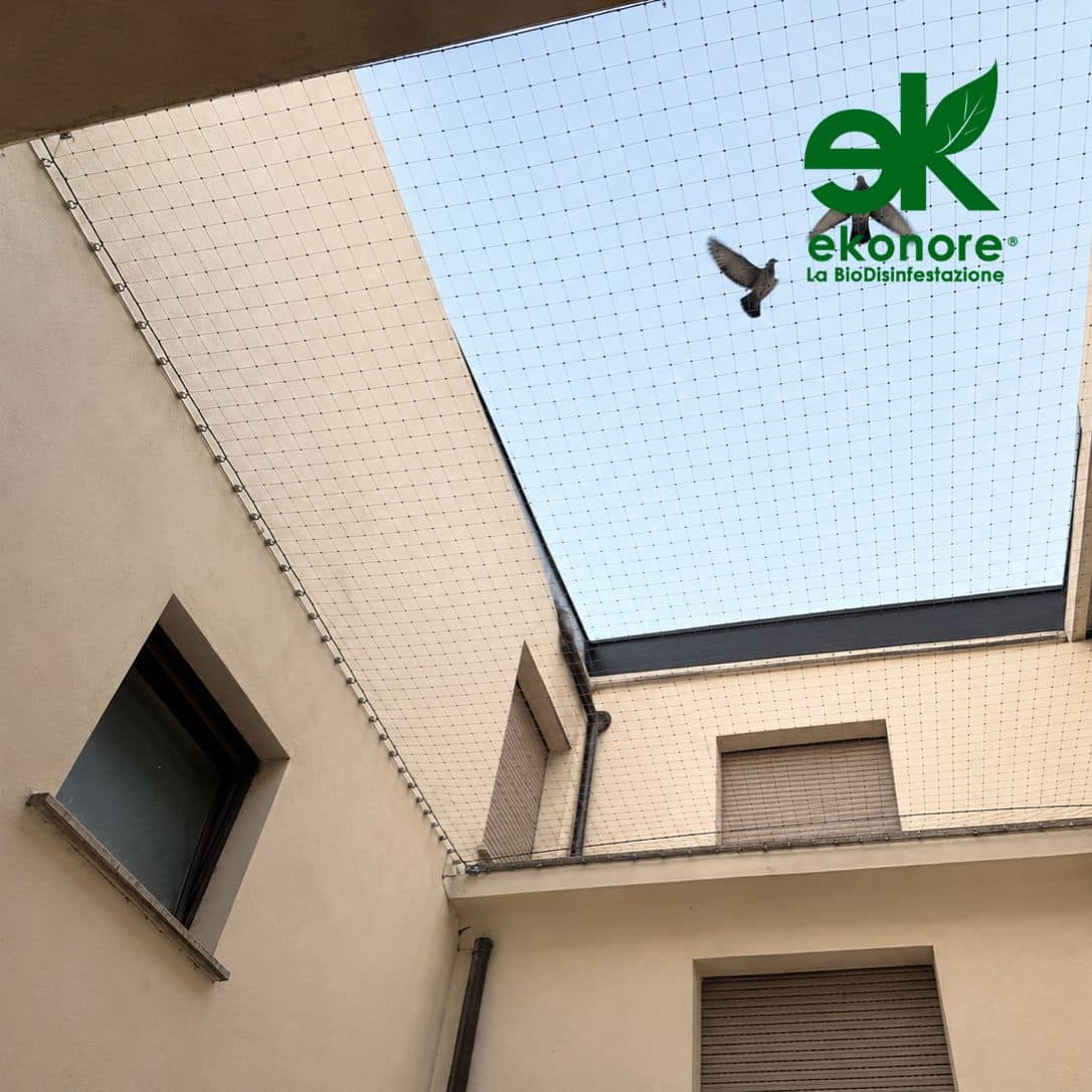 reti anti volatili professionale installazione birdnet allontanamento volatili reti anti volatili professionale installazione birdnet allontanamento volatili