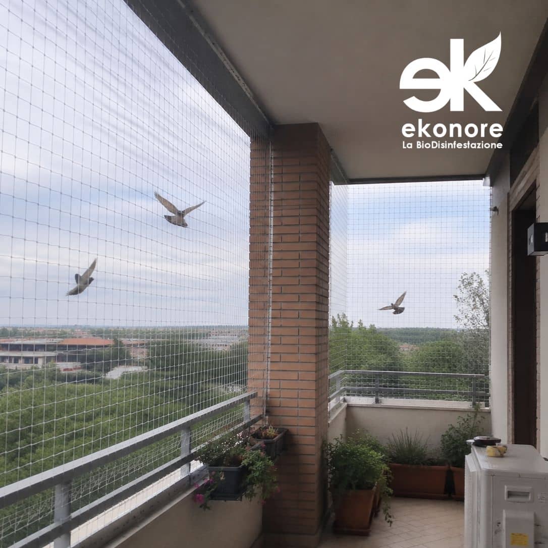 reti anti volatili professionale installazione birdnet allontanamento volatili reti anti volatili professionale installazione birdnet allontanamento volatili