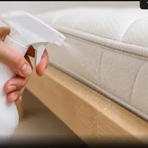 Spray insetticida spruzzato su materasso e telaio del letto contro le cimici