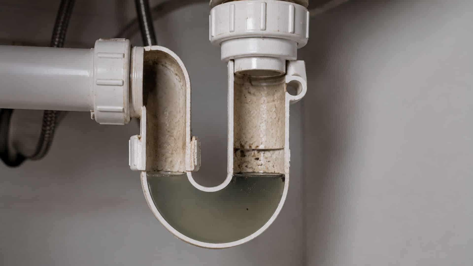 Kontrolle von Siphon und Abflüssen vor den Ferien