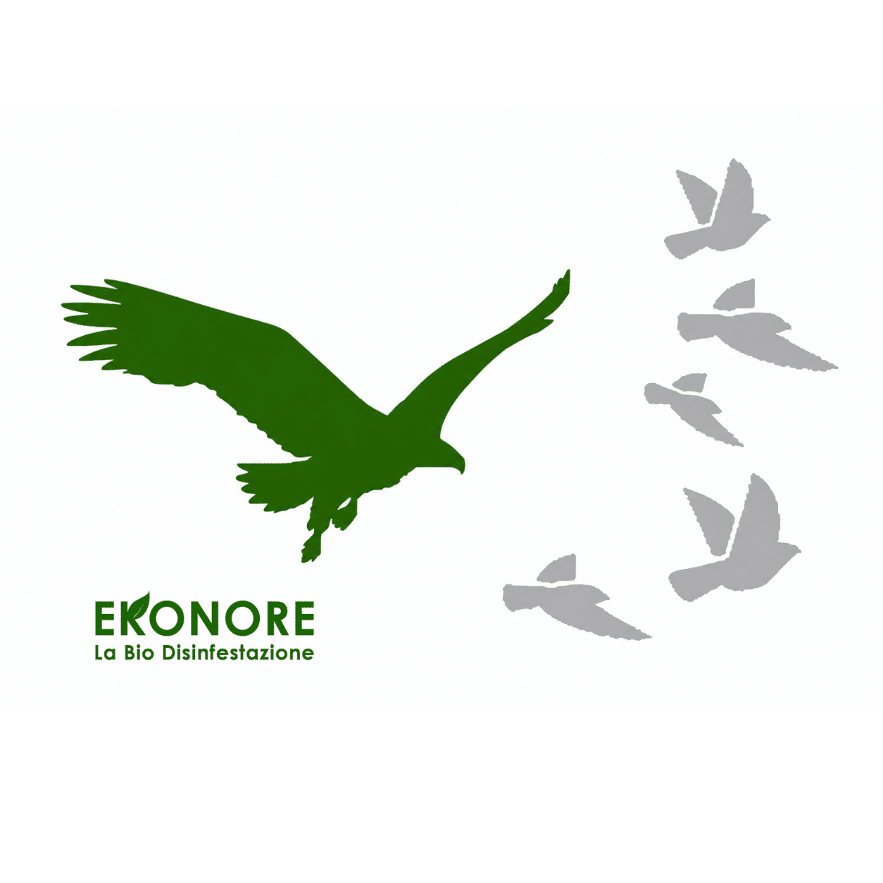 Falconeria Falconeria