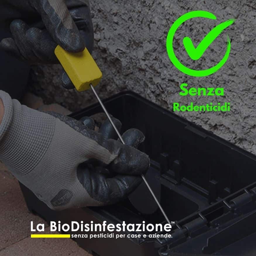 monitoraggio infestanti haccp derattizzazione monitoraggio infestanti haccp derattizzazione