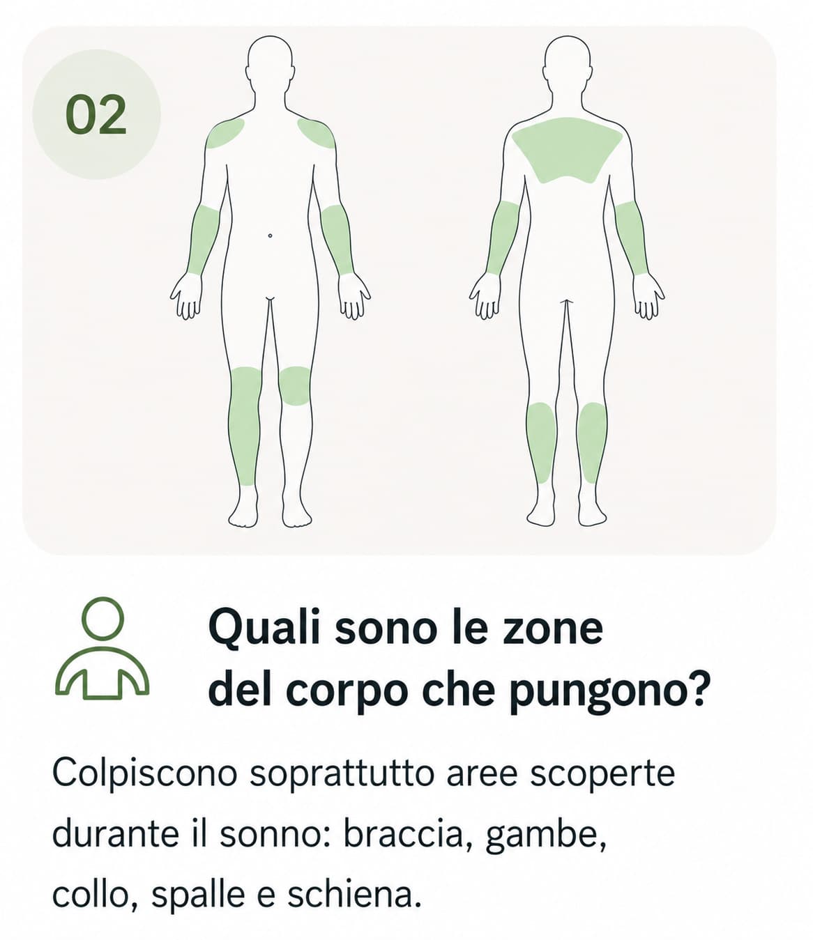 aree punture cimici da letto Betroffene Körperbereiche der Stiche