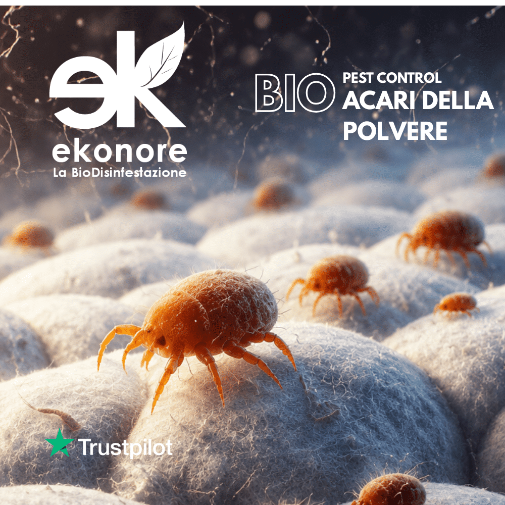 disinfestaizione acaro della polvere3 disinfestazione zanzare pest control bio