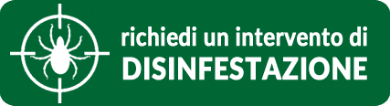Se hai punture di insetti richiedi una disinfestazione