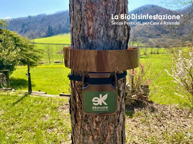 Pineta di Finges e pianura – Leuk