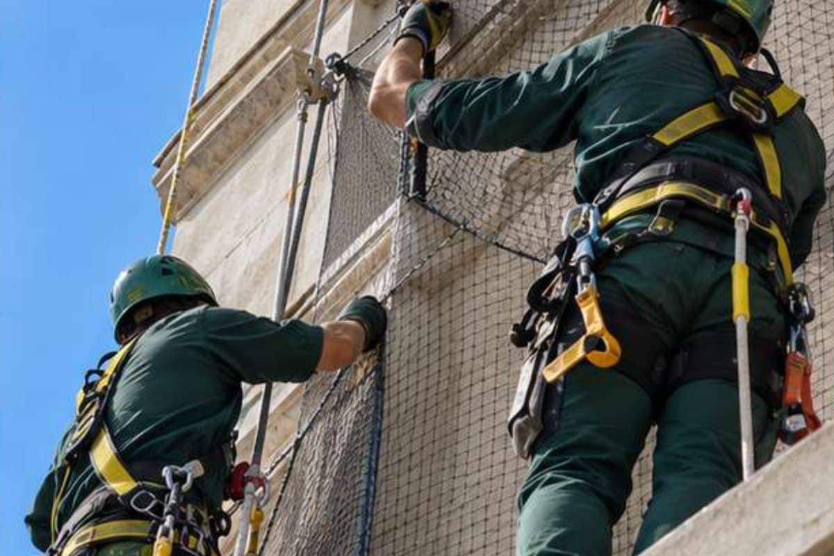 Ekonore Techniker montieren ein Vogelschutznetz an der Fassade mit Sicherheitsgurt