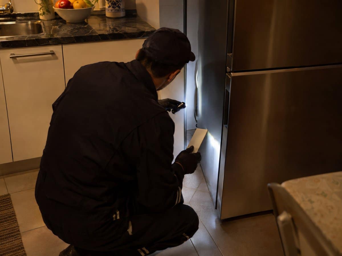 Schädlingsbekämpfer leuchtet bei einer Besichtigung wegen Schaben mit der Taschenlampe hinter den Kühlschrank