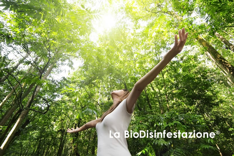 La Bio Disinfestazione Senza Pesticidi per Case e Aziende La Bio Disinfestazione Senza Pesticidi per Case e Aziende