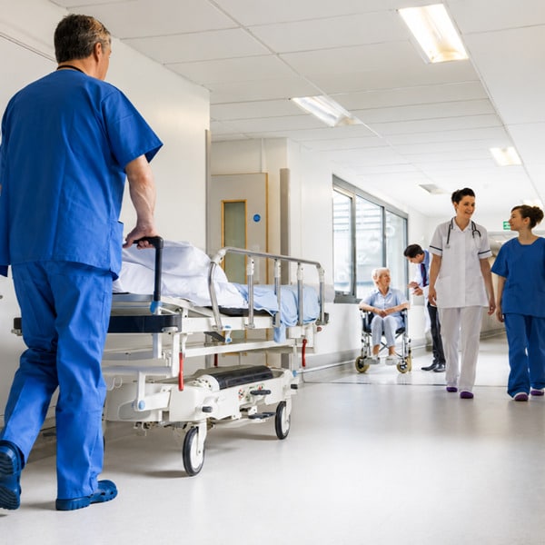 monitoraggio infestanti ospedali e strutture sanitarie haccp monitoraggio infestanti ospedali e strutture sanitarie haccp