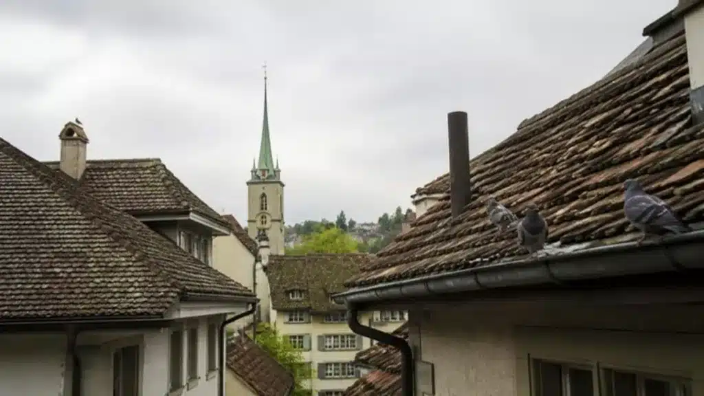 Tettoie, rampe e piccioni – Gäu