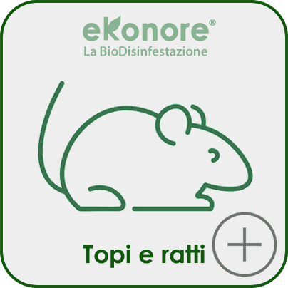 Derattizzazione disinfestazione topi e ratti