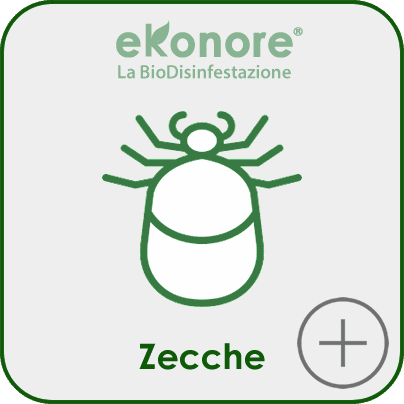 Disinfestazione zecche piccioni